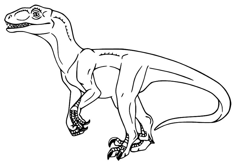 Dinosaur Velociraptor Sheets Coloring Page