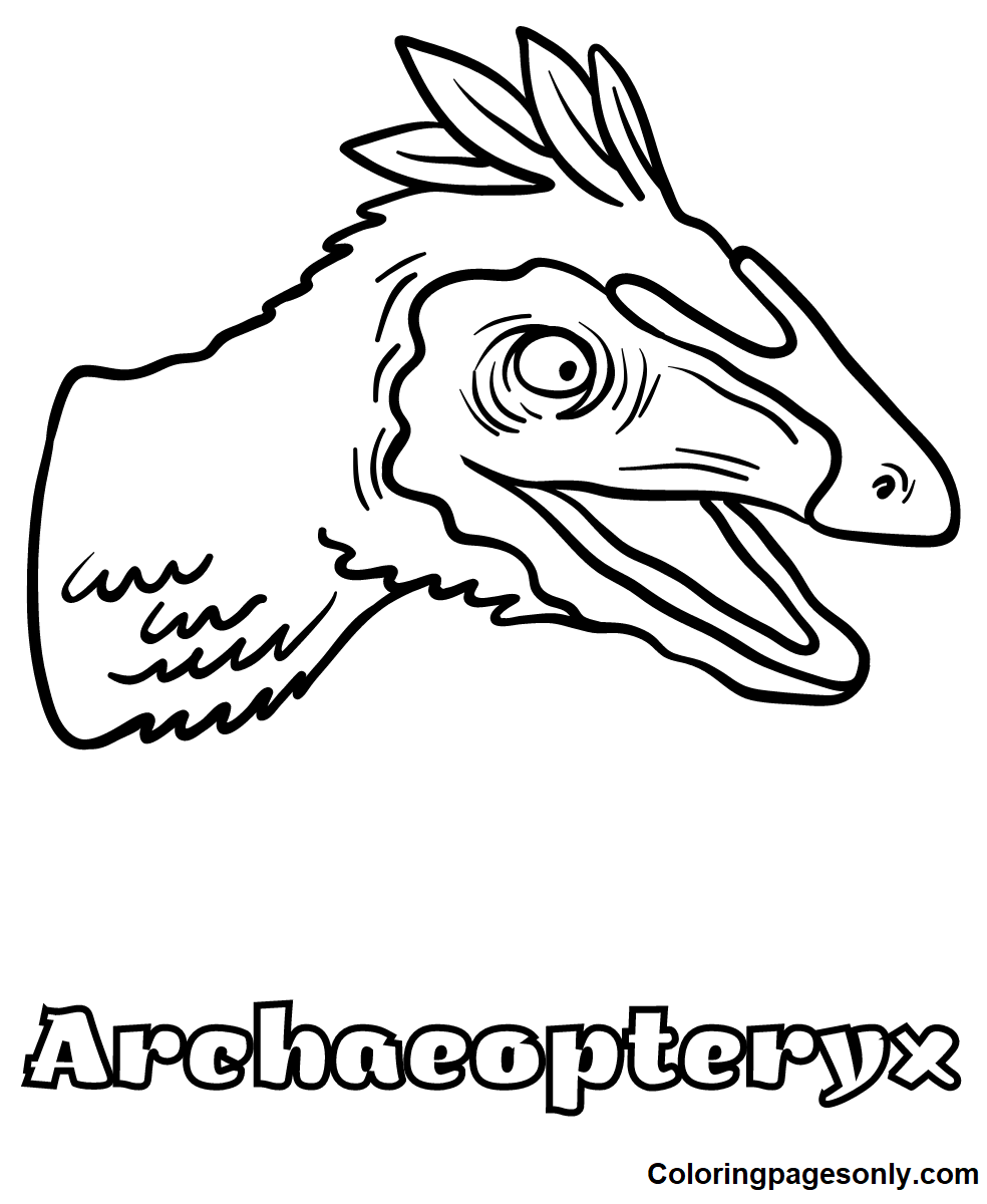 Free Printable Archaeopteryx Coloring Page