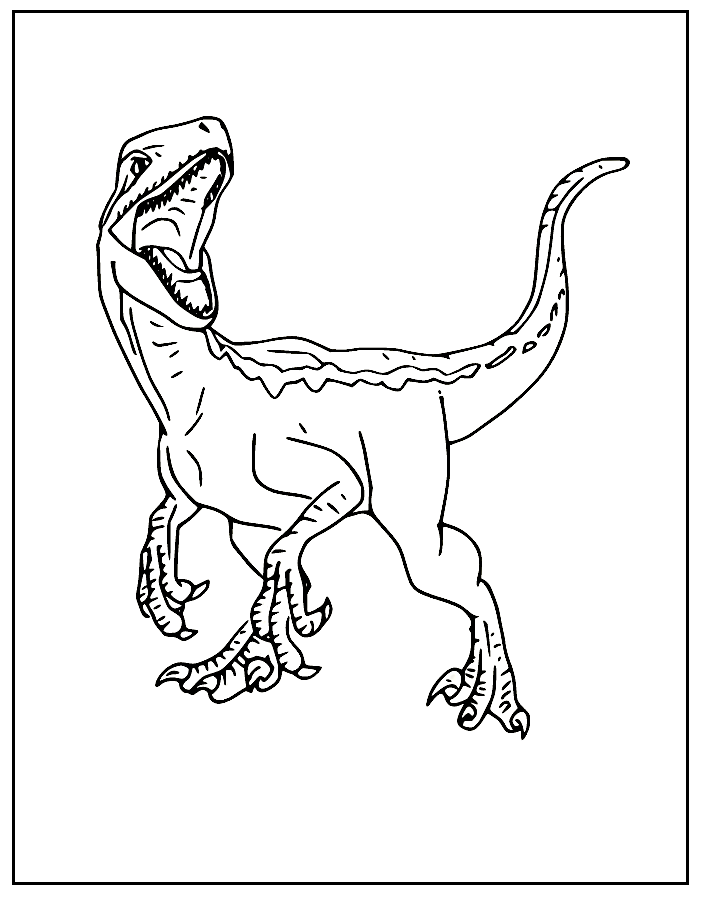 Vélociraptor rugissant de Velociraptor