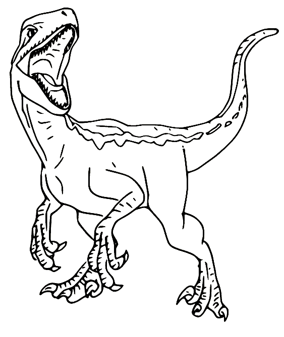 Roaring Velociraptor Coloring Page