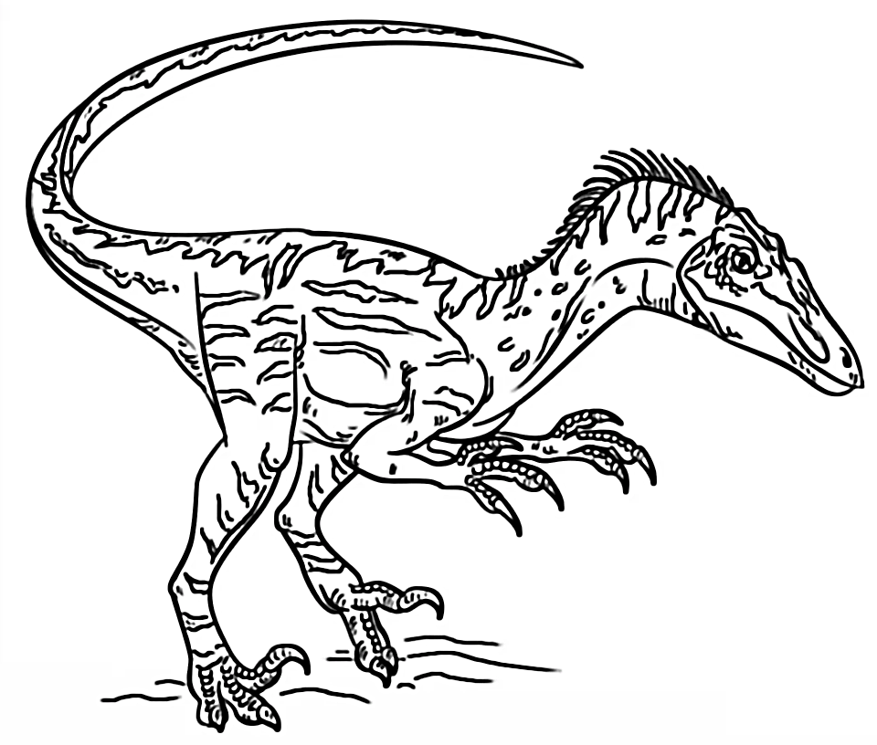 Velociraptor Dinosaurus 1 van Velociraptor