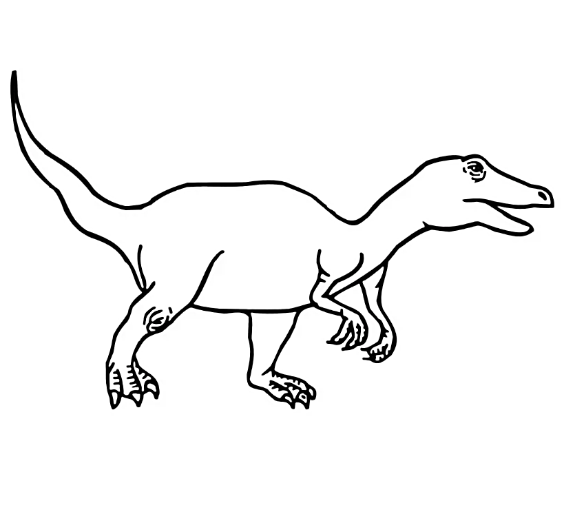 Velociraptor Dromaeosaurider Theropod vom Dinosaurier von Velociraptor