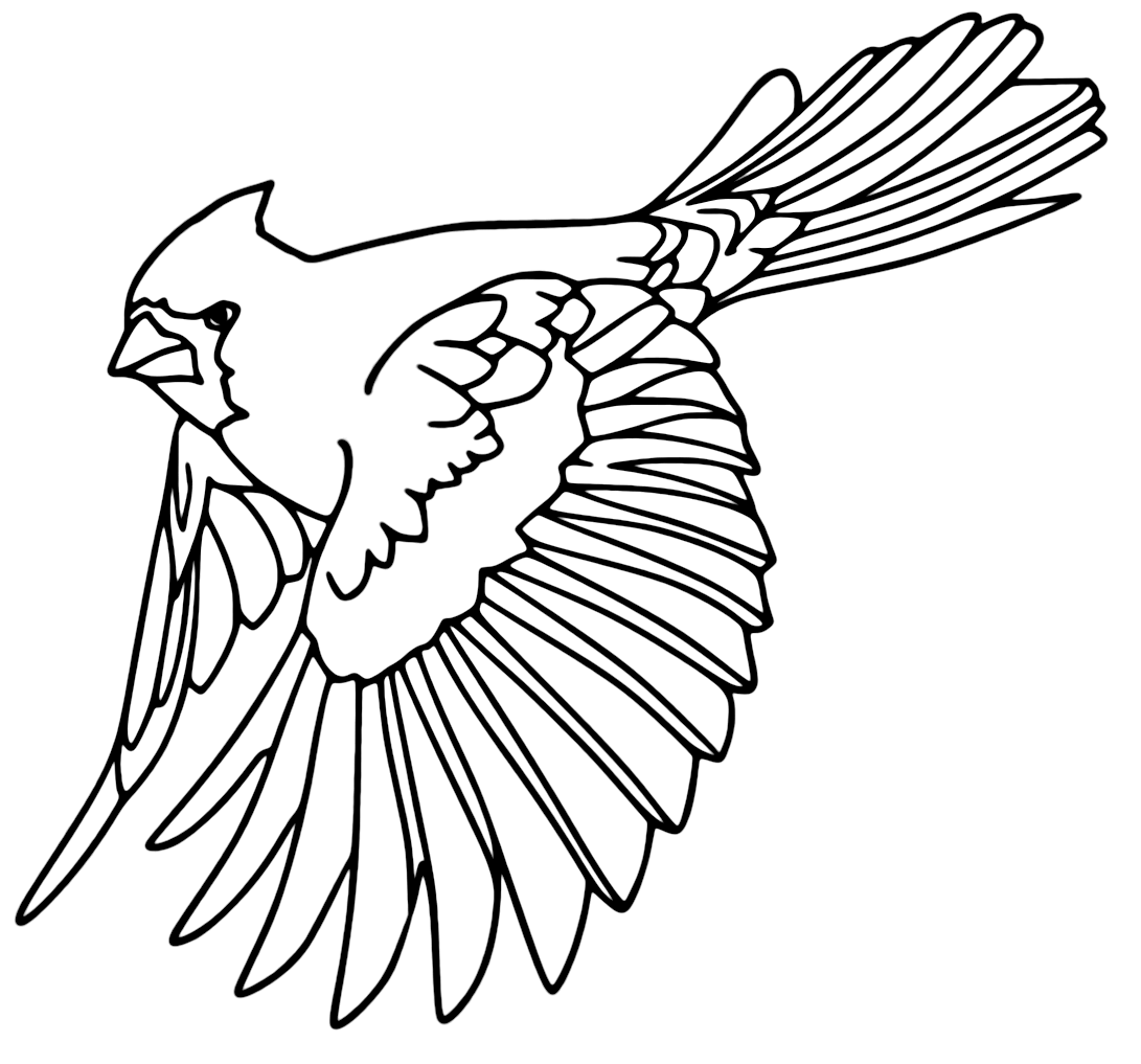 Angry Cardinal Coloring Pages
