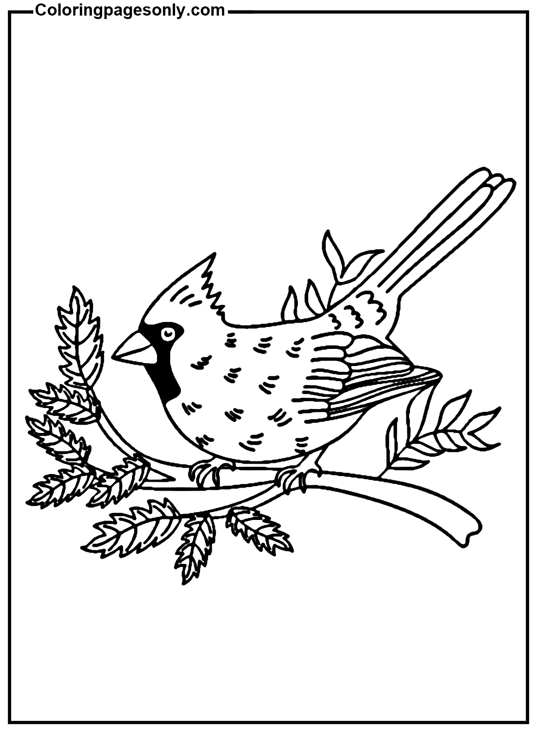 Cardinal Bird Image Coloring Page