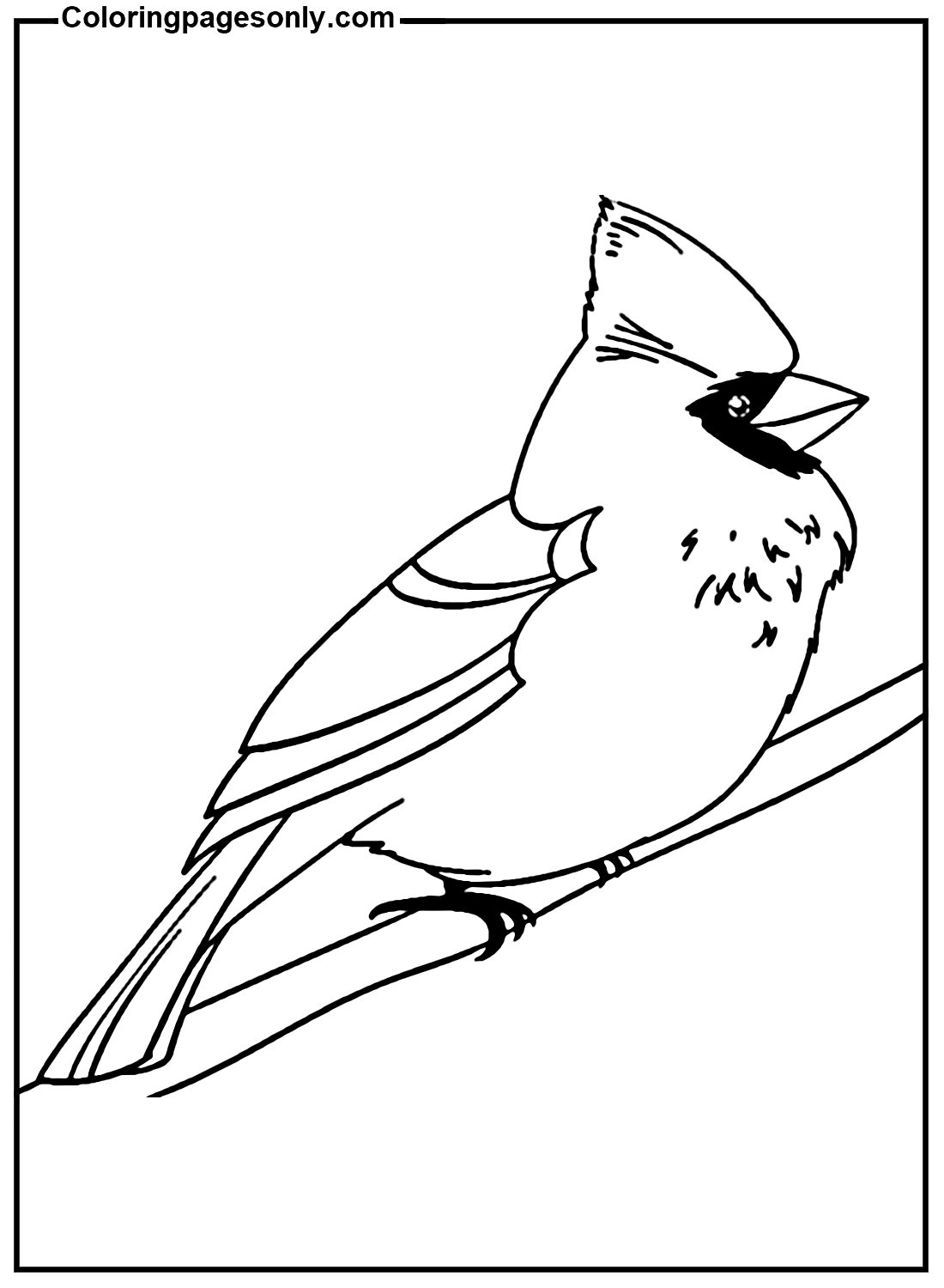 Cardinal Free Download Coloring Page