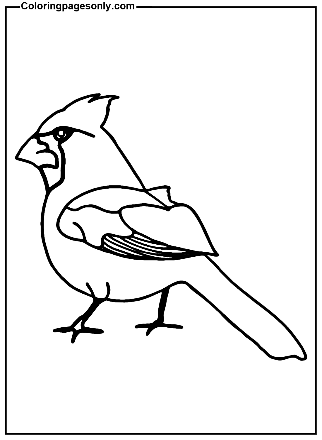 Cardinal Image to Print Coloring Page - Free Printable Coloring Pages
