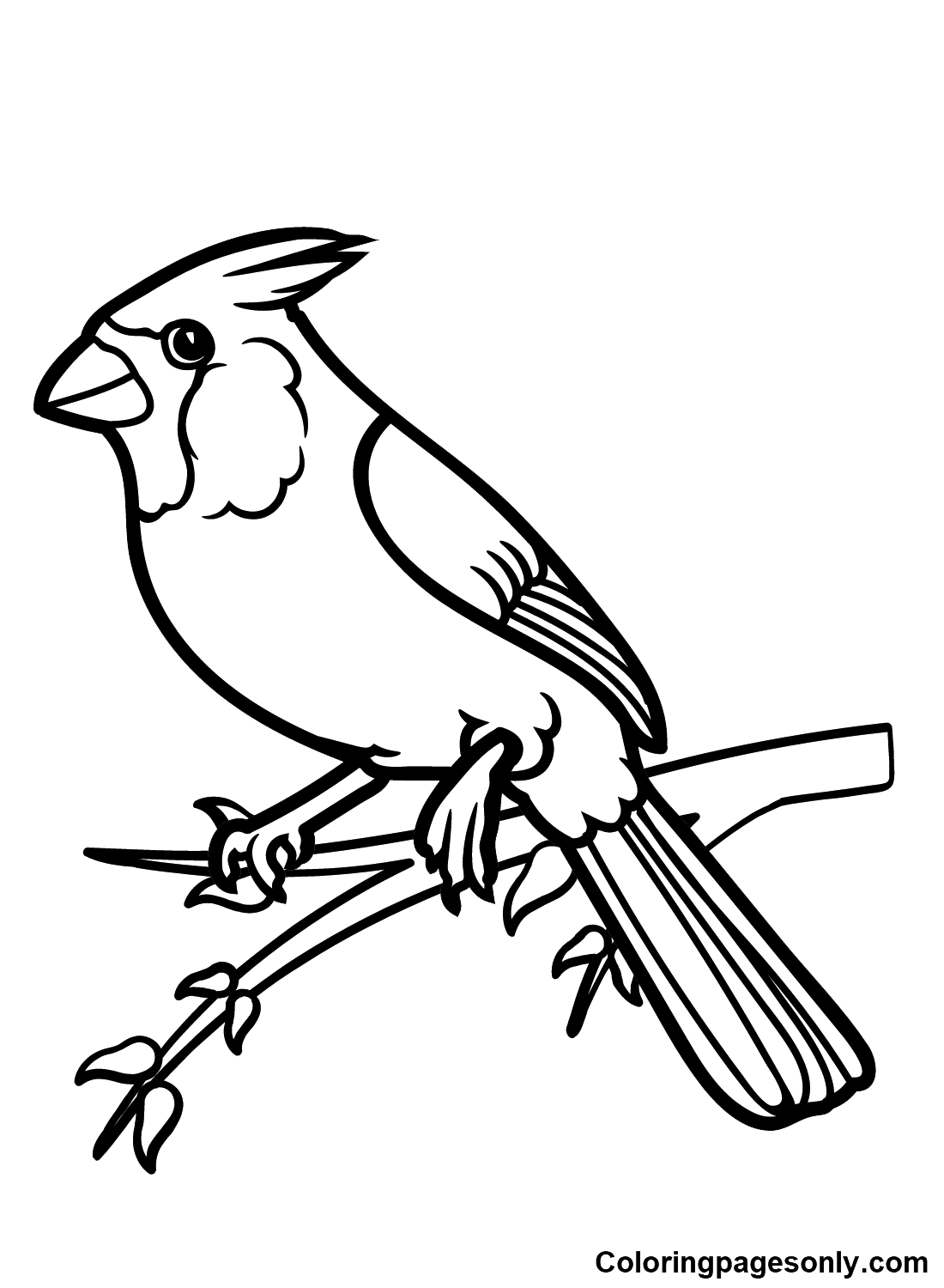 Cardinal Coloring Pages - Coloring Pages For Kids And Adults