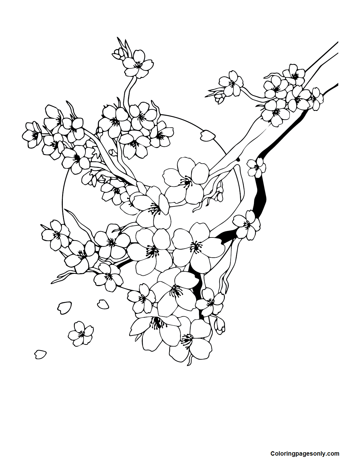 Cherry Blossom Free Coloring Pages