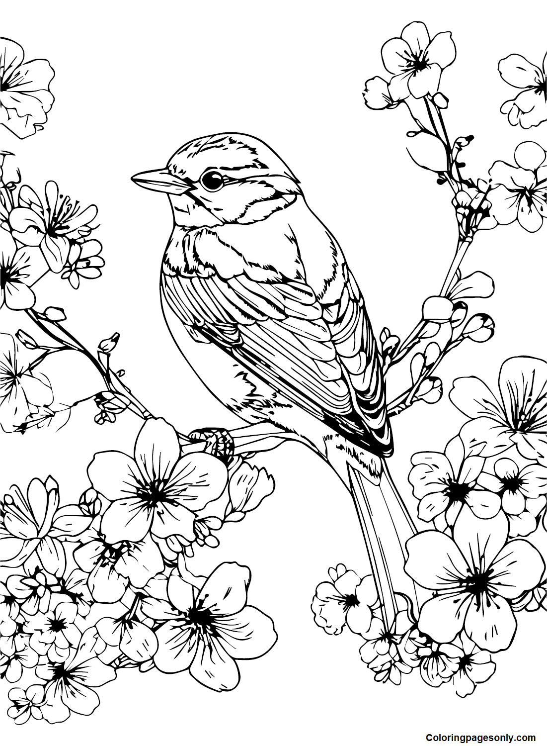 Cherry Blossom To Print Coloring Pages