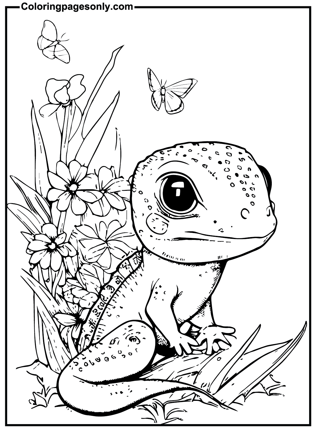 Cute Skink Coloring Pages