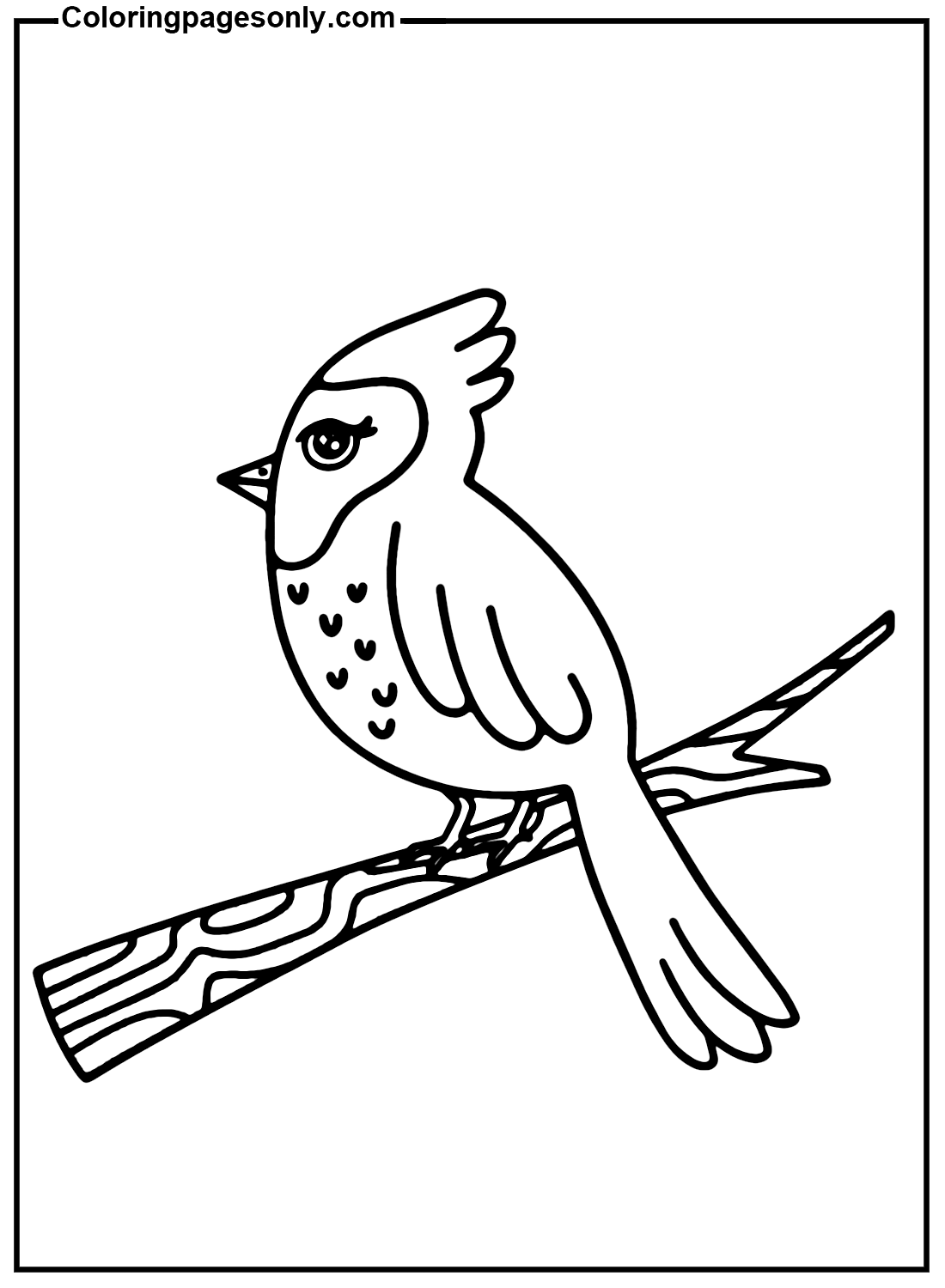 Free Cardinal Image Coloring Pages