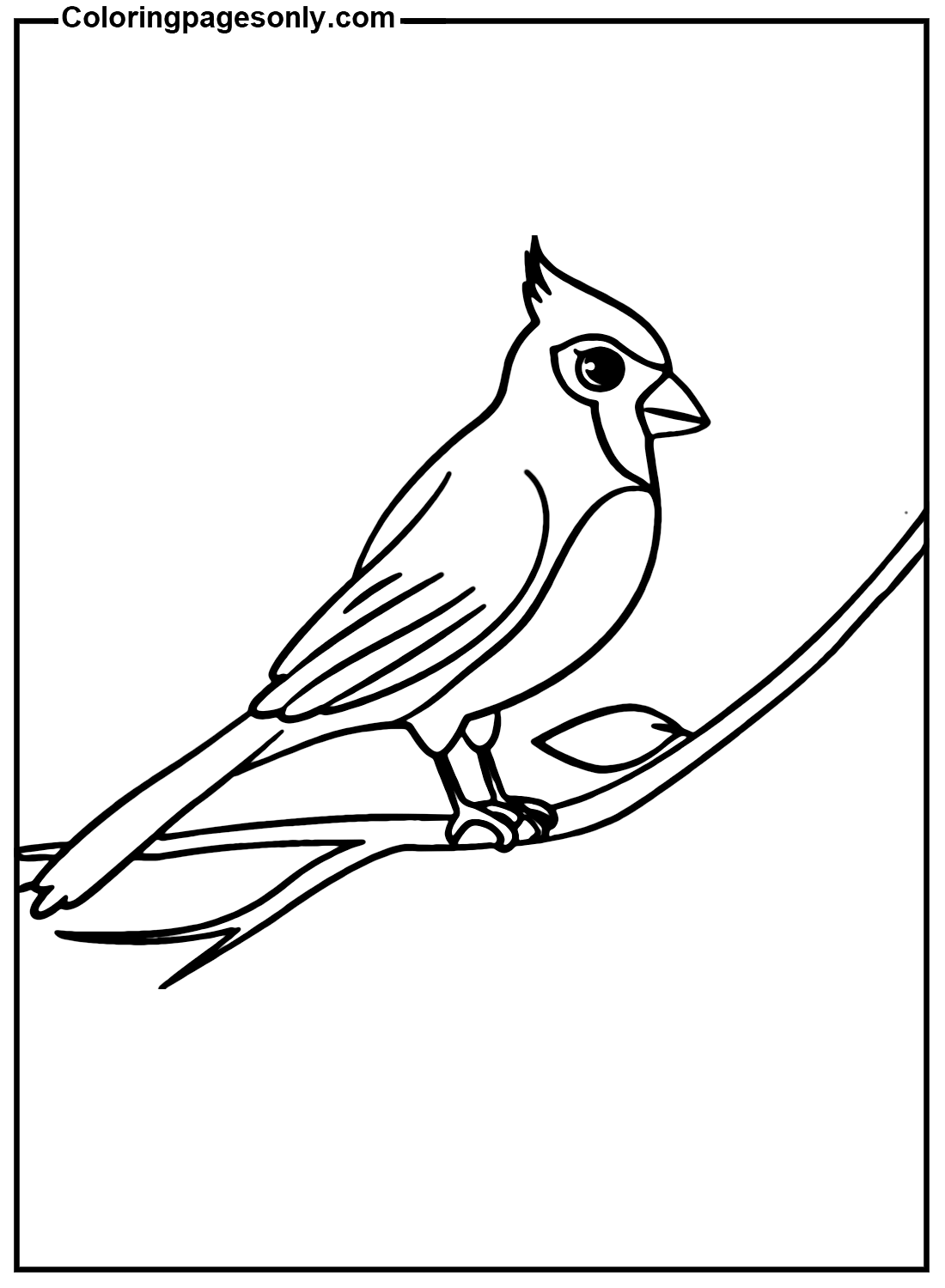 Cardinal Bird Coloring Pages - Get Coloring Pages
