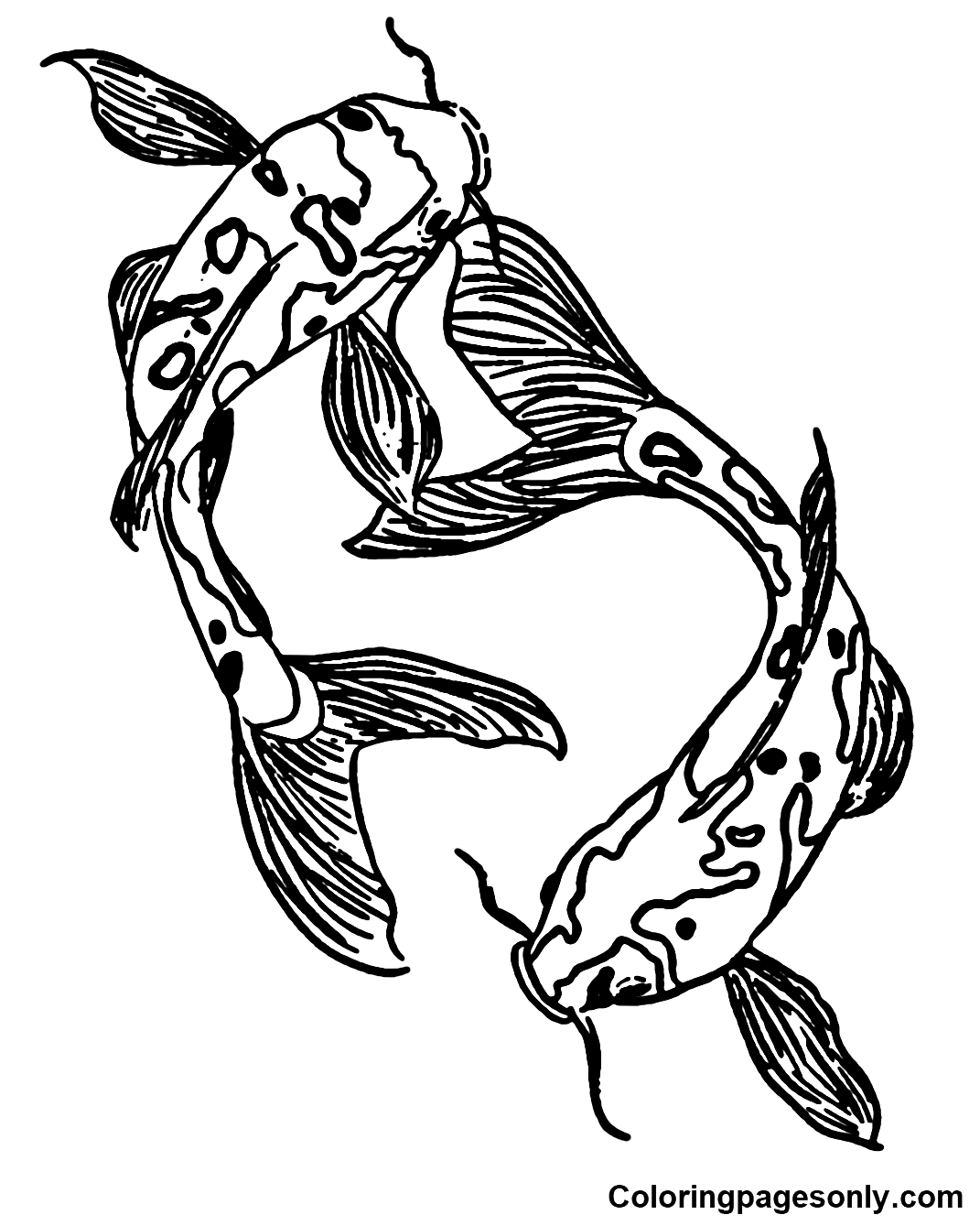 Free Koi Fish Coloring Pages