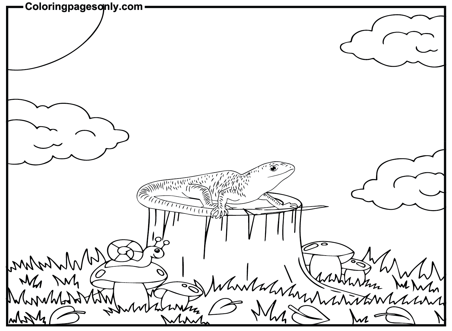 Images Skink Coloring Pages