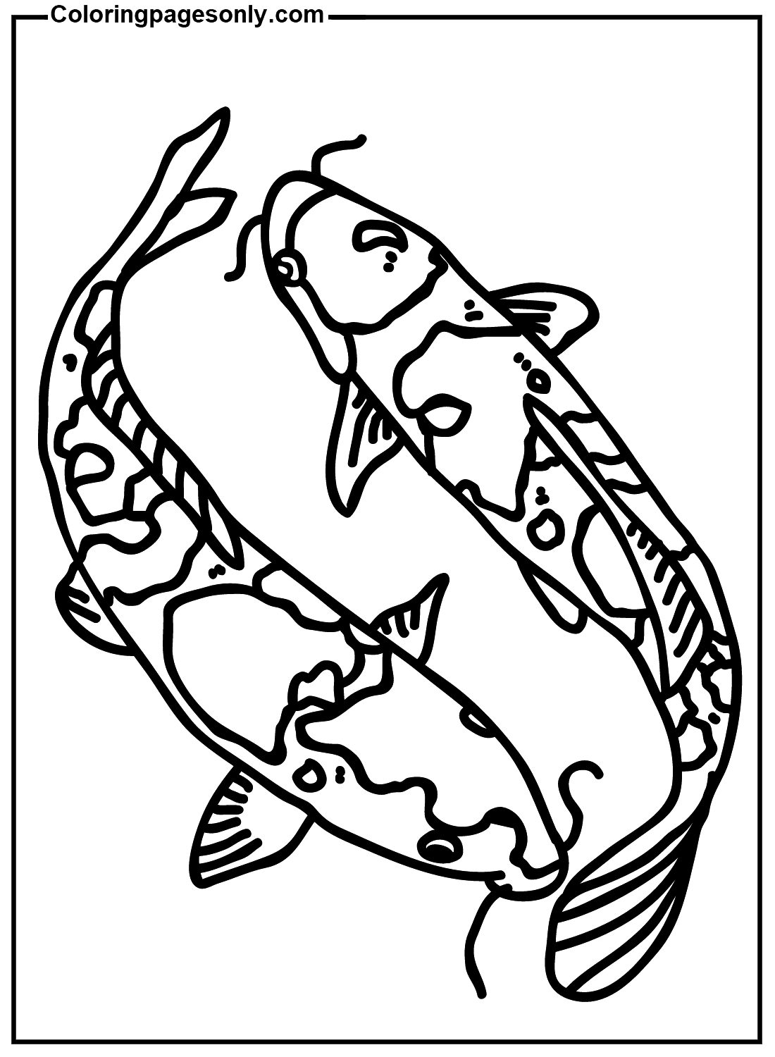 Koi-Fisch-Zeichnung von Koi-Fisch