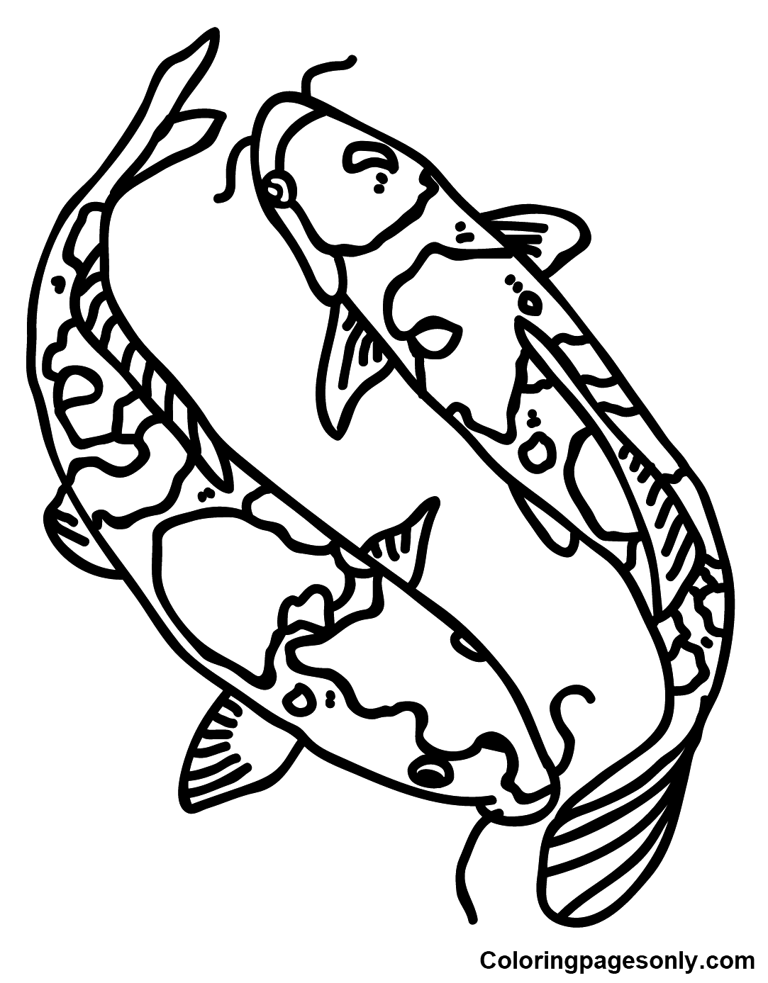 Koi Fish Drawing Coloring Pages