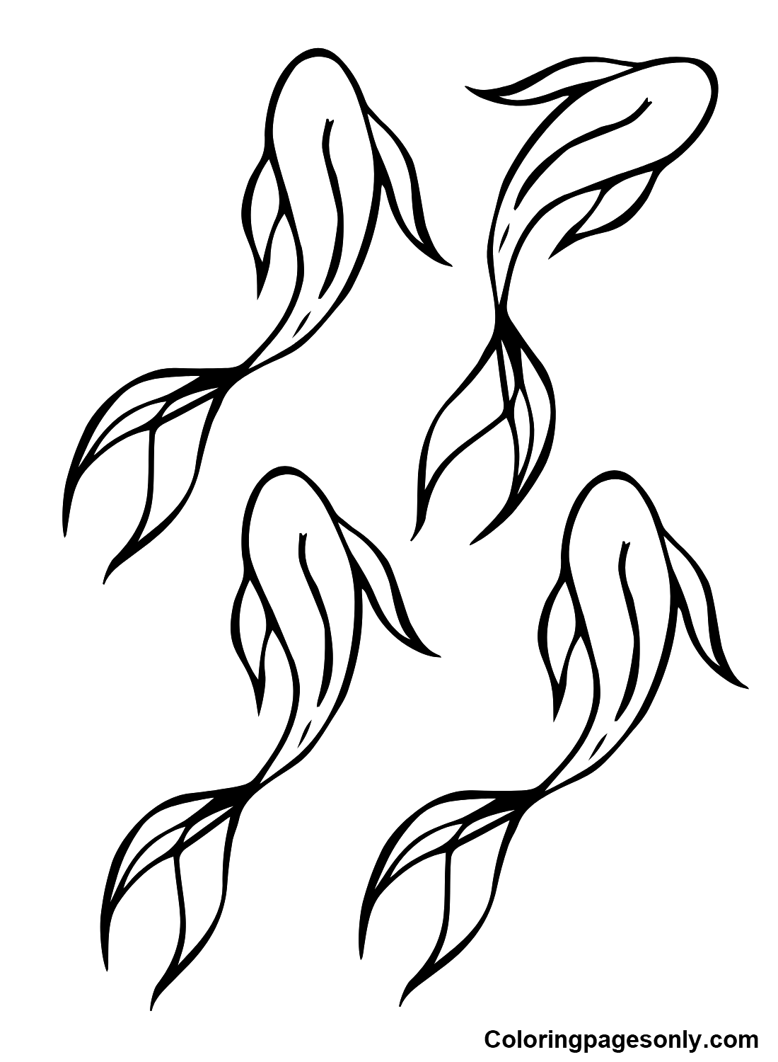Koi Fish Outline Coloring Pages