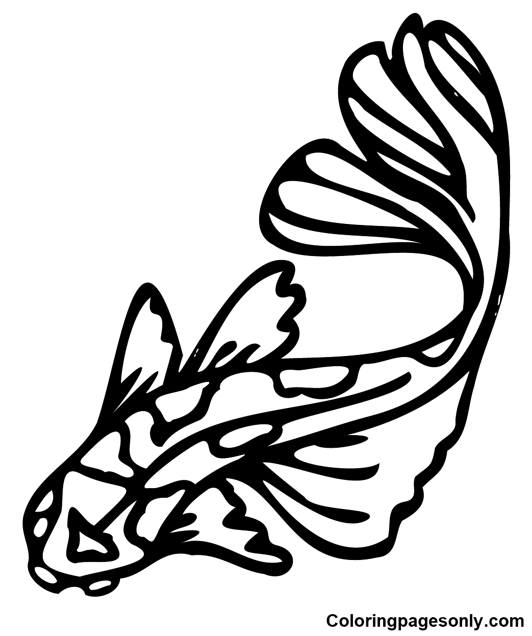 Koi Fish Painting Coloring Pages