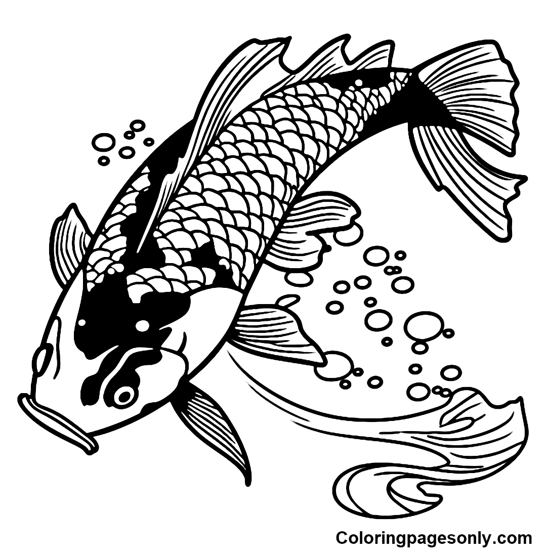 Koi Fish Pictures Coloring Pages