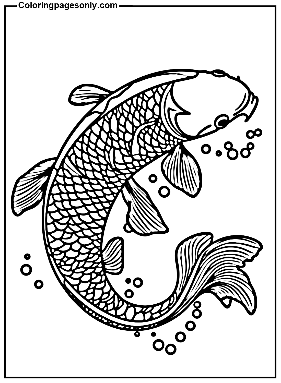 Images gratuites de poissons Koi de Koi Fish