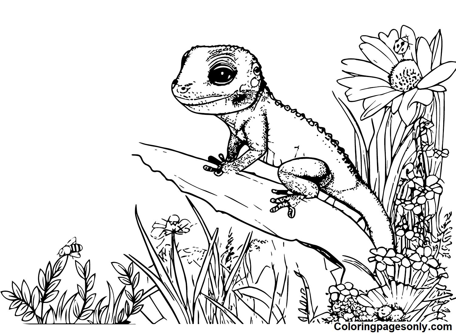Little Skink Coloring Pages