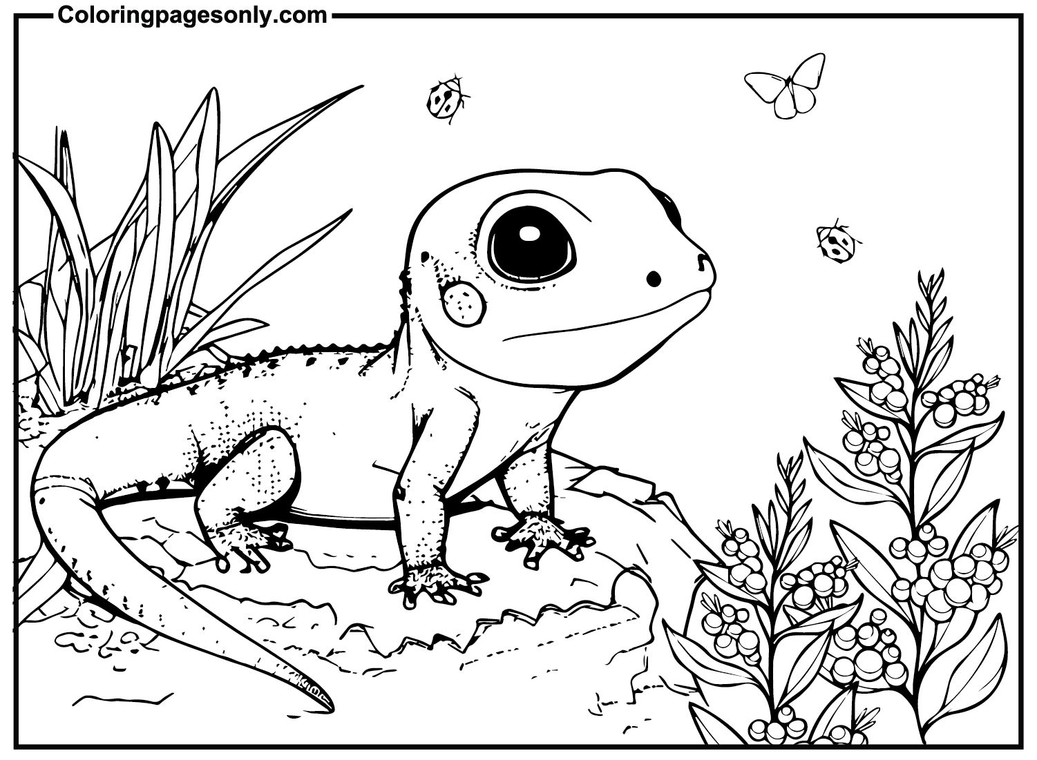 Pictures Skink Coloring Pages