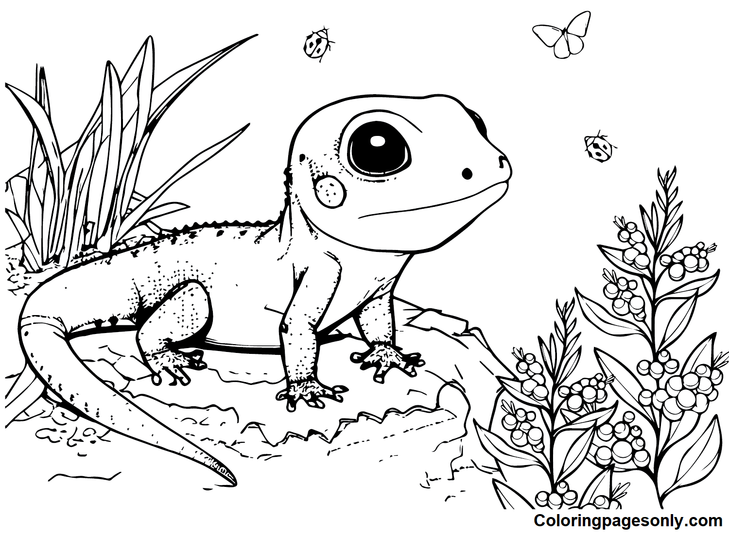 Pictures Skink Coloring Page