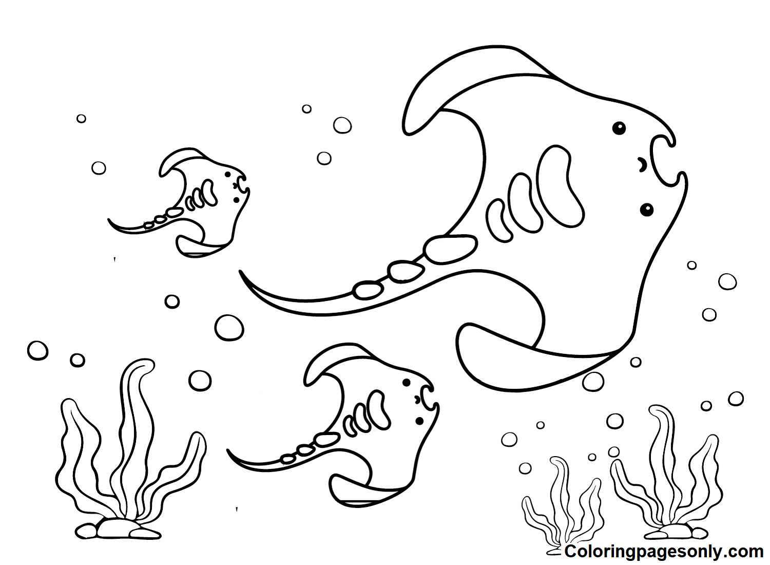 Pictures Stingrays Coloring Page