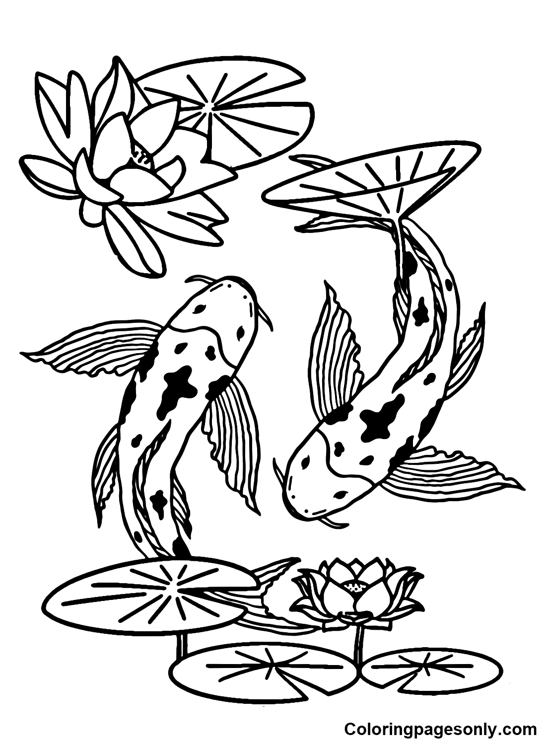 Printable Koi Fish Images Coloring Page