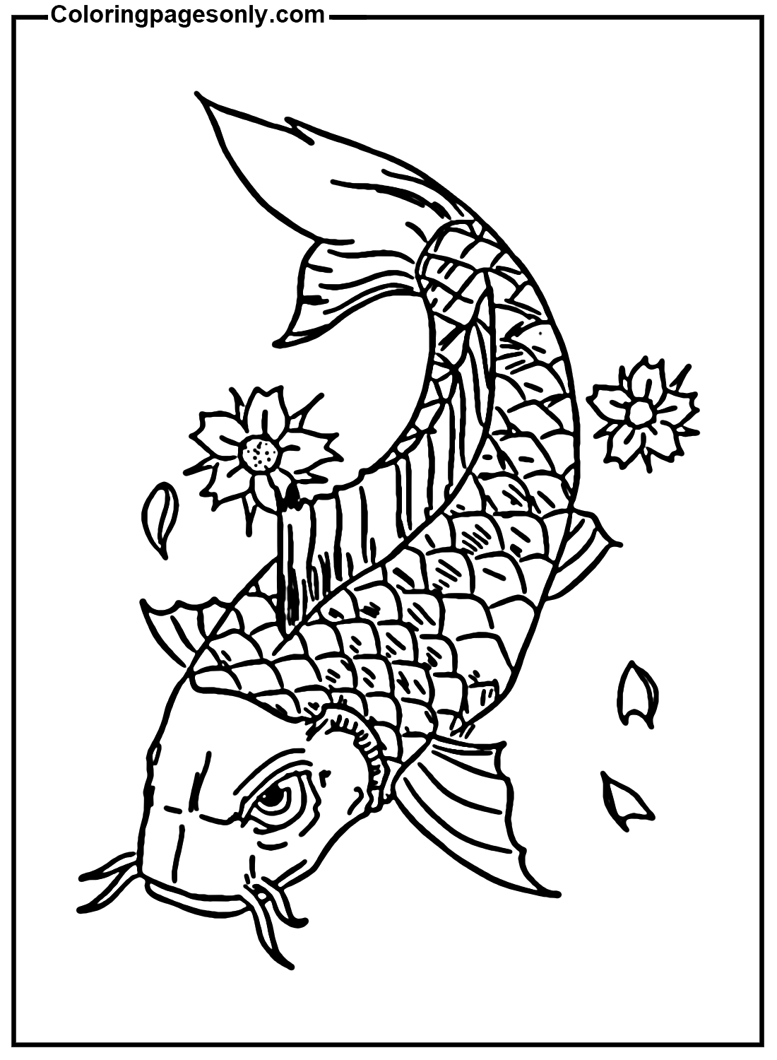 Poisson Koi rouge de Koi Fish