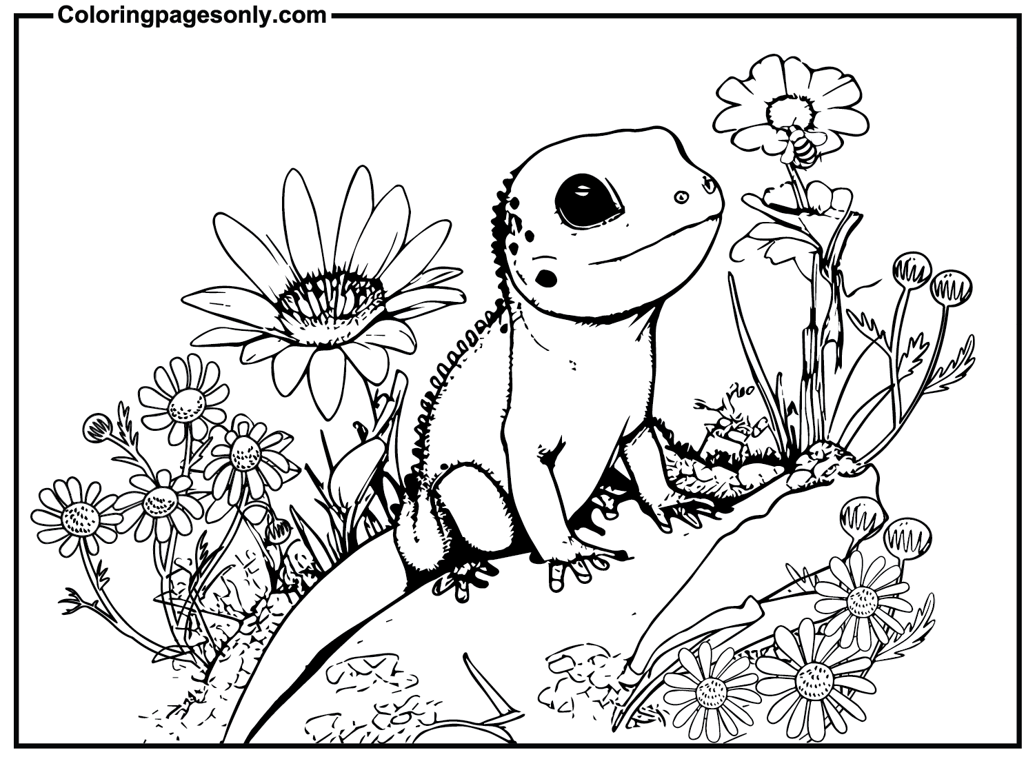 Skink Pictures Coloring Page - Free Printable Coloring Pages