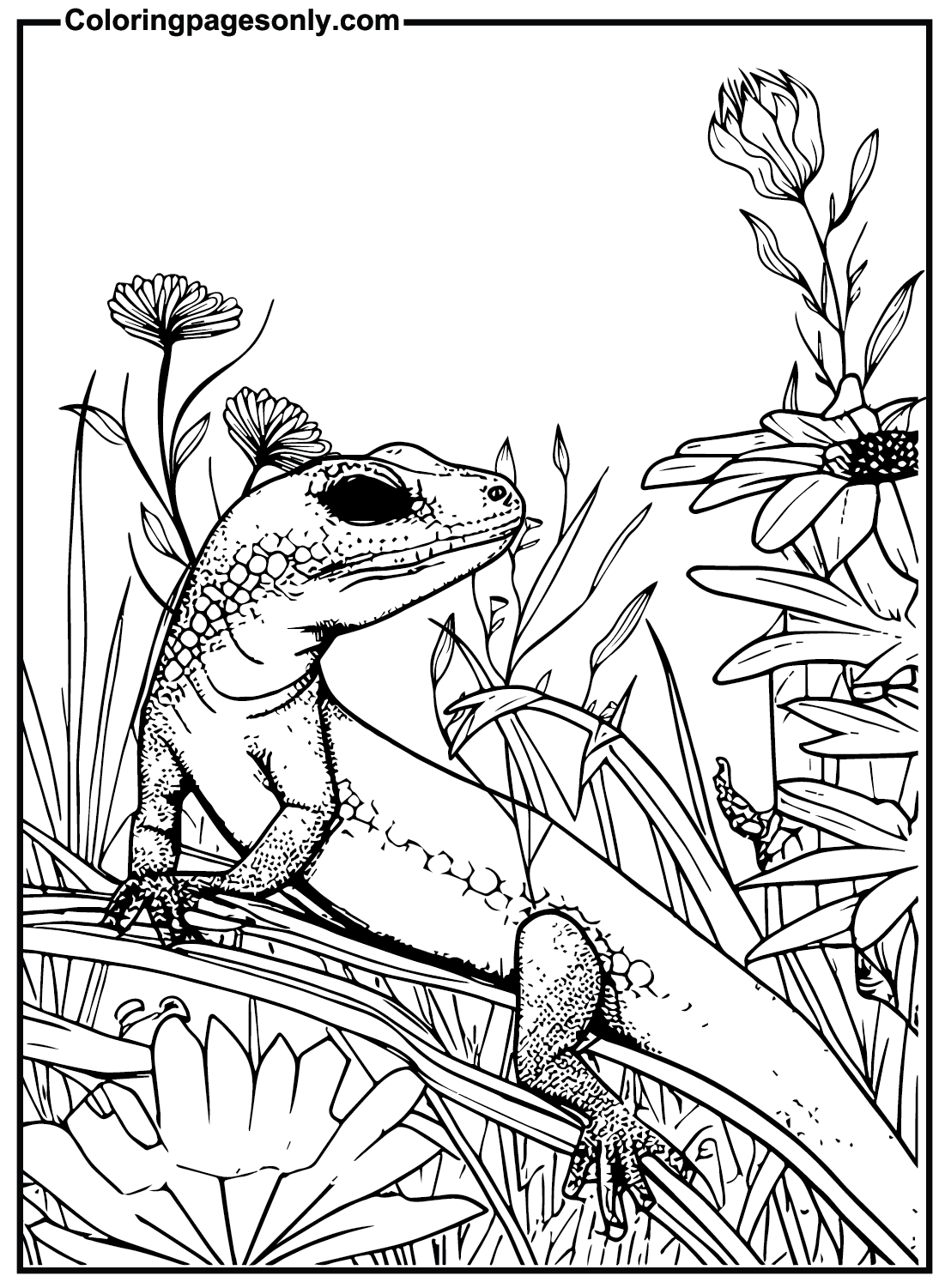 Skink And Flowers Coloring Pages