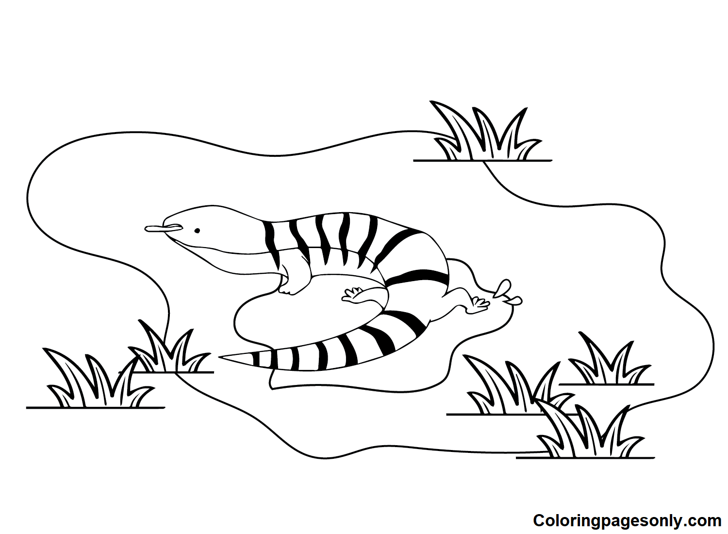 Skink color Sheets Coloring Pages