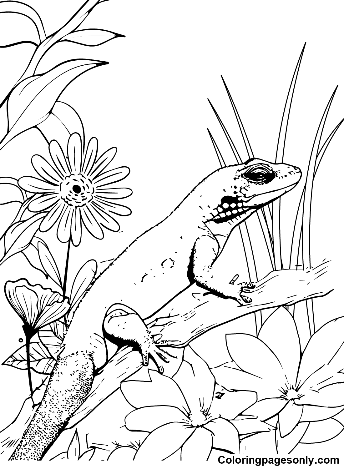 Skink with Flowers Coloring Page