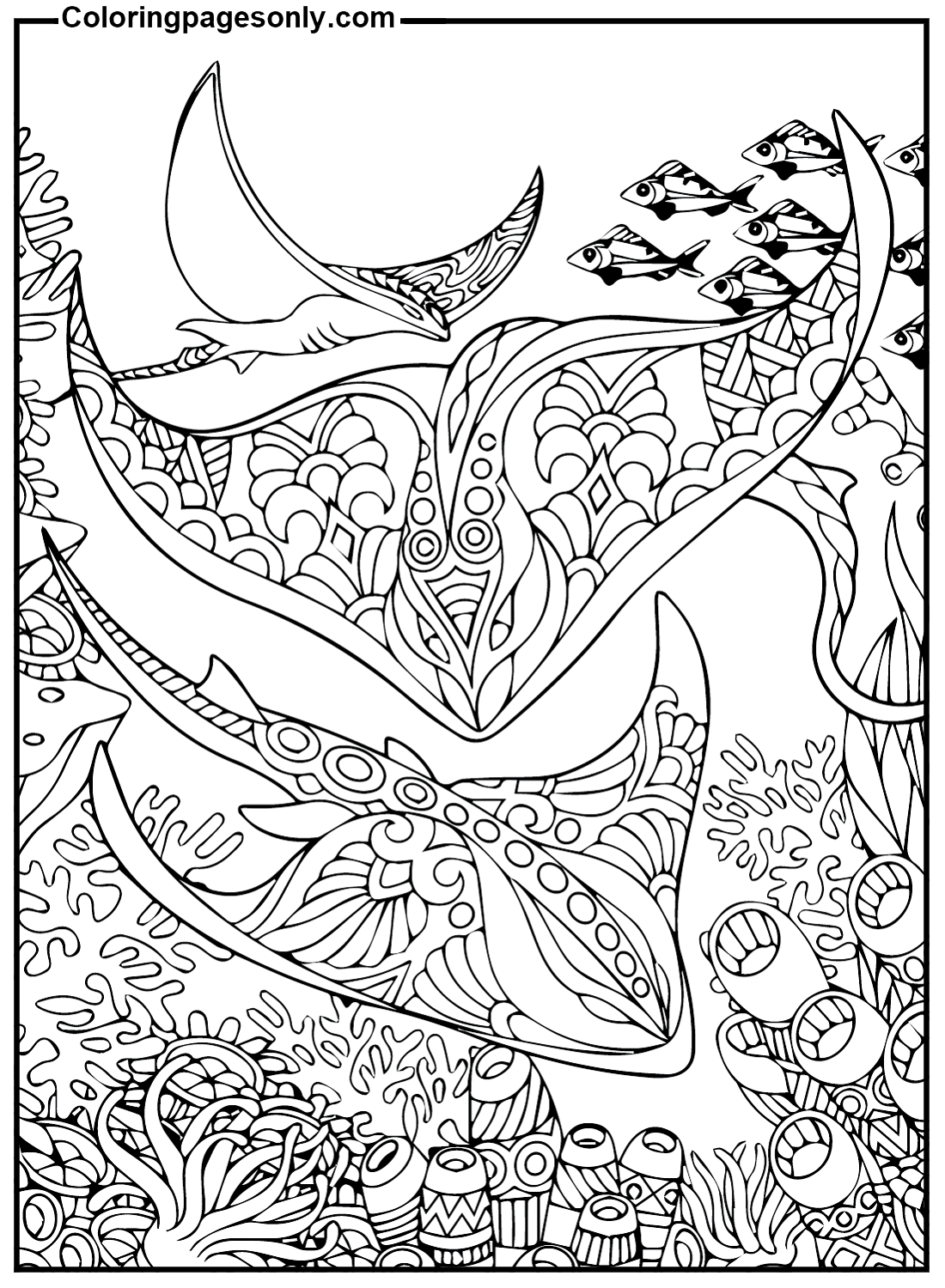 Stingray Color Sheets Coloring Pages