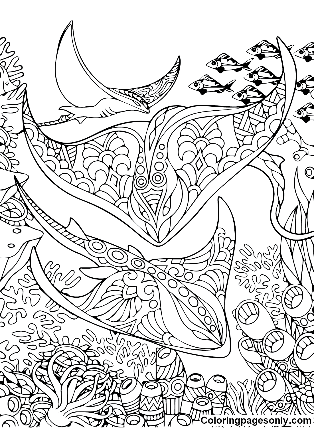 Stingray color Sheets Coloring Pages