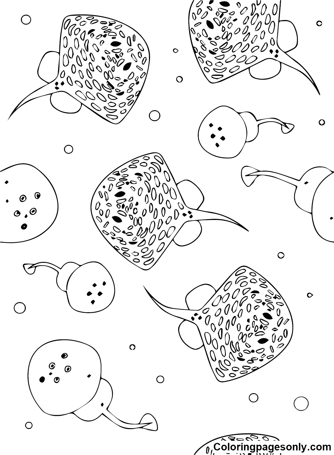 Stingray to print Coloring Page