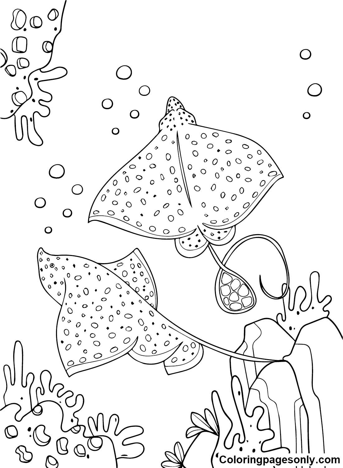 Two Stingrays Coloring Pages