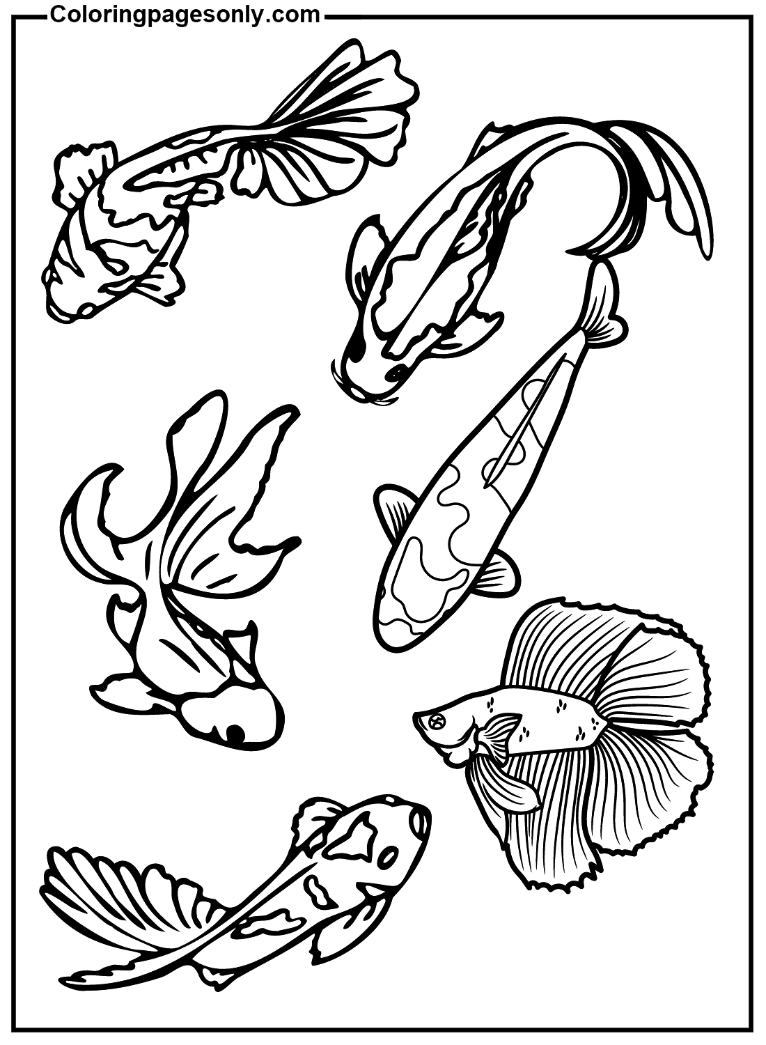 Koi Fish Coloring Pages For Adults Free Printable Koi KOI FISHES Adult