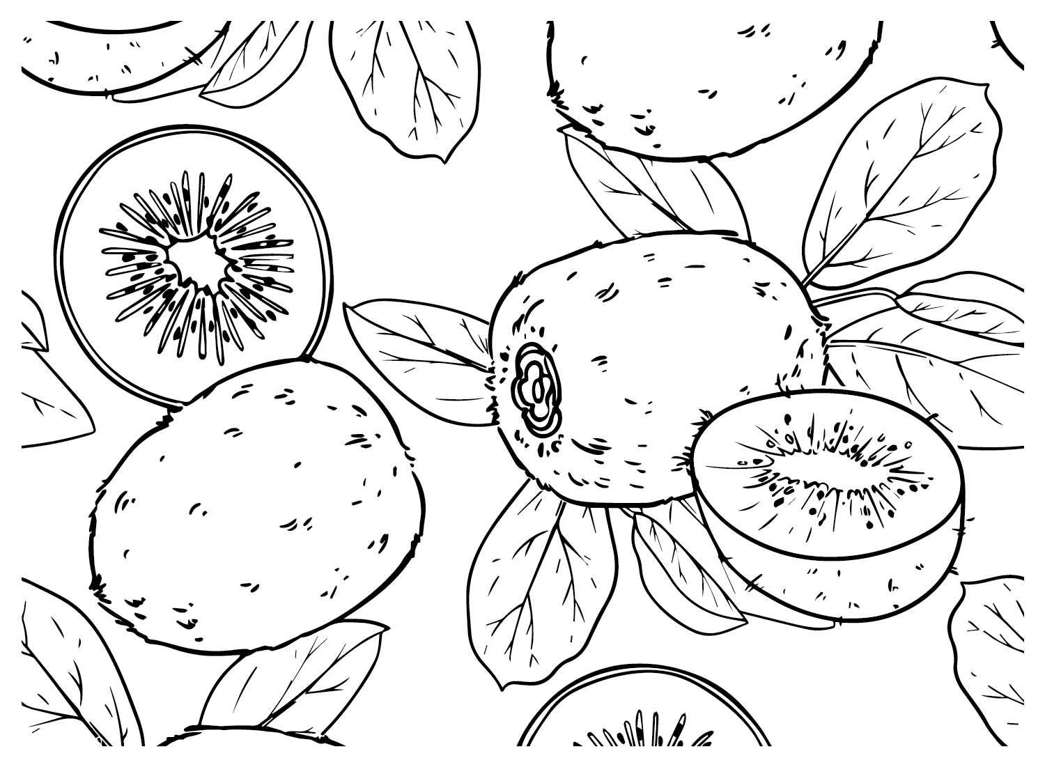Achtergrond Kiwifruit van Kiwifruit