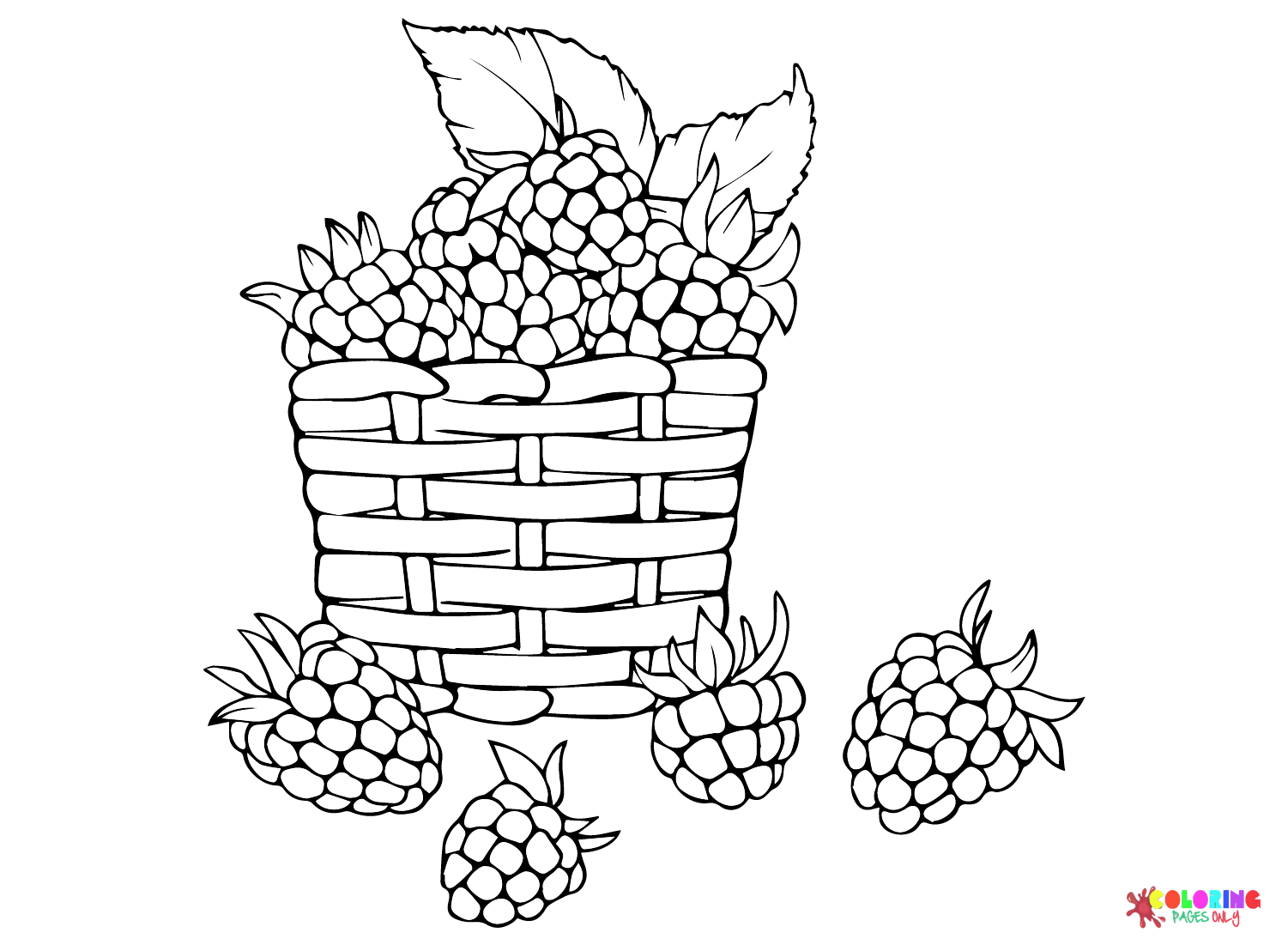 Basket Blackberry Coloring Page