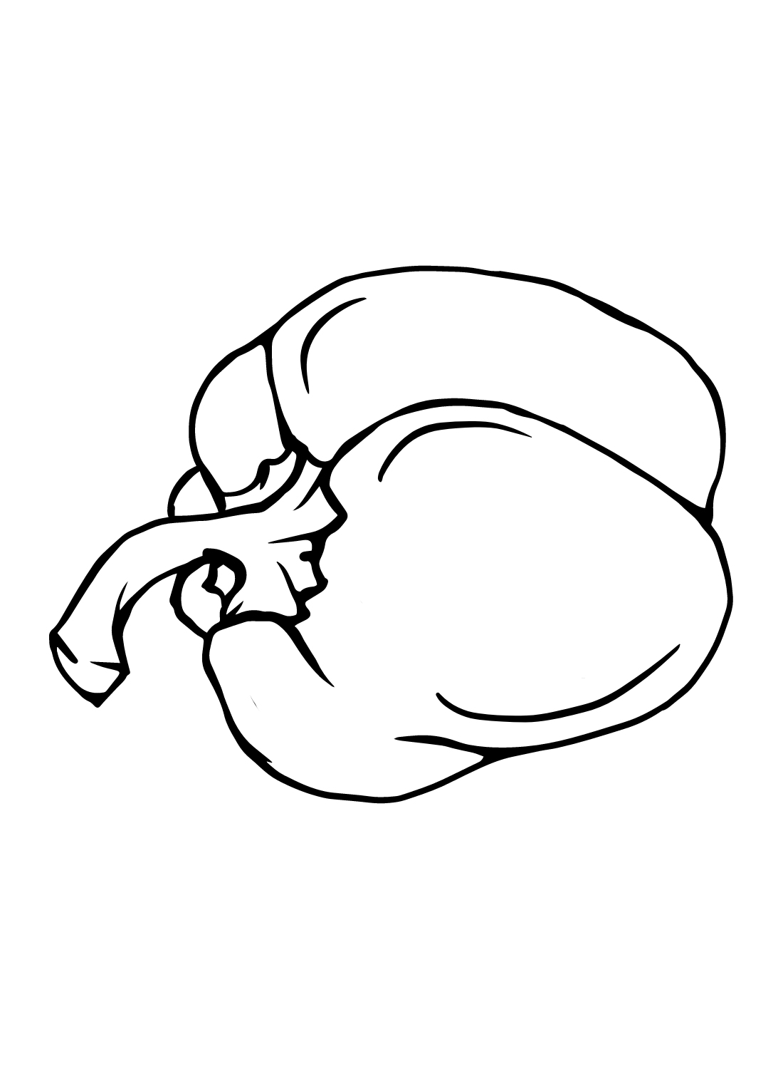Bell Pepper Drawing Coloring Page
