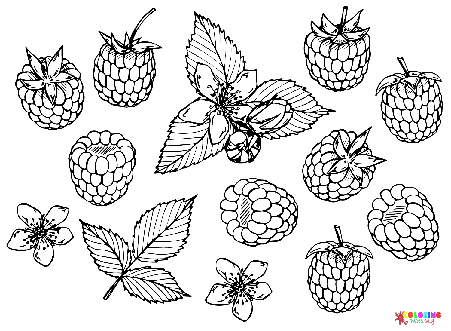Berry Icon Fruit Coloring Page