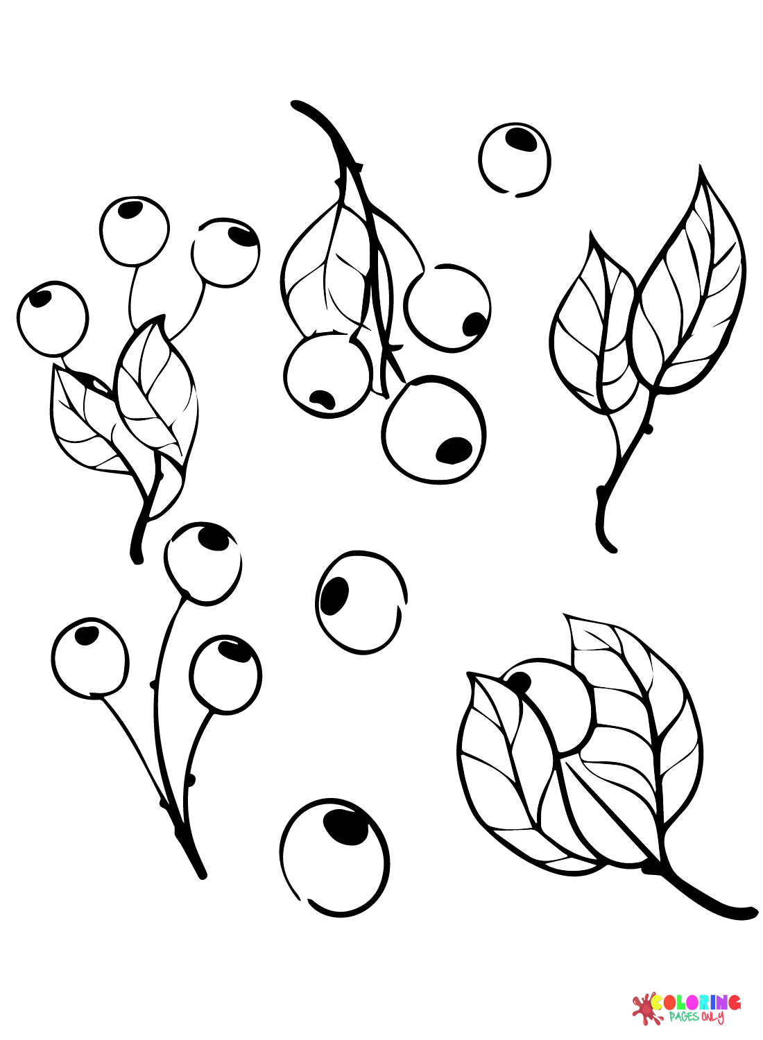 Blueberry Images Coloring Page