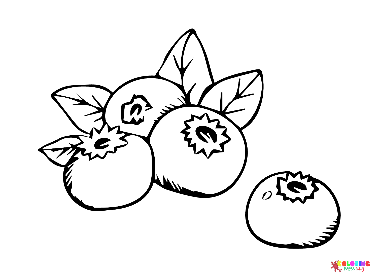 Blueberry for Kids Coloring Page