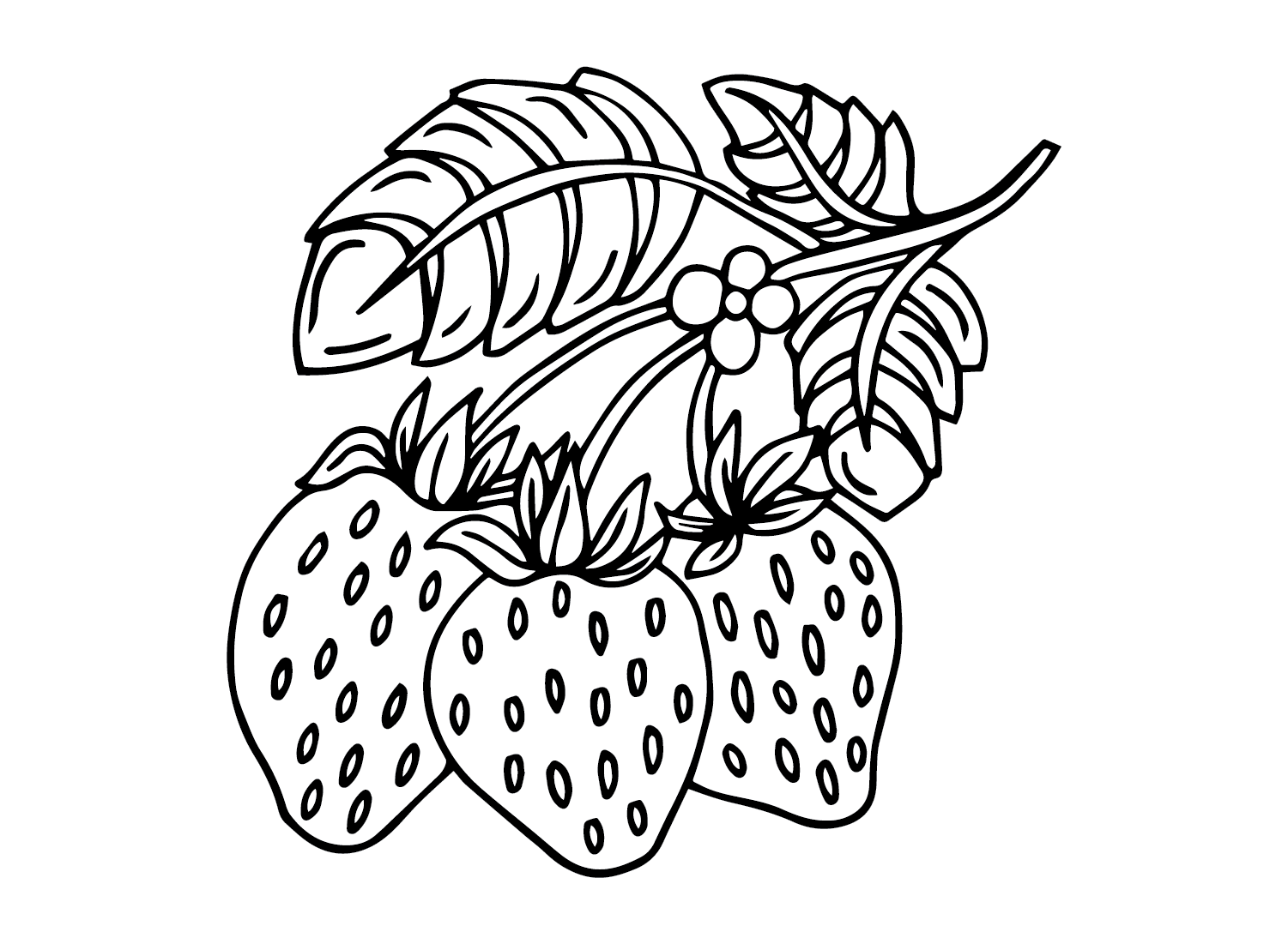 Branche de fraise de fraise