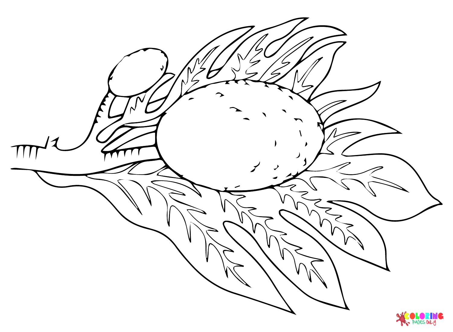 Desenho de Fruta-pão para colorir