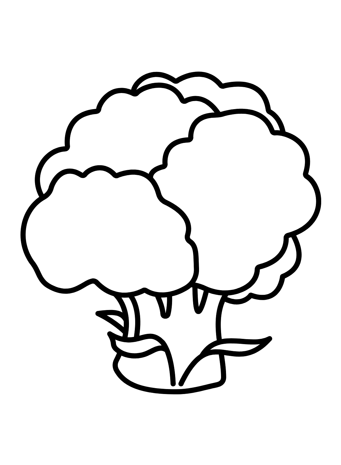 Brócoli Imágenes de Brócoli