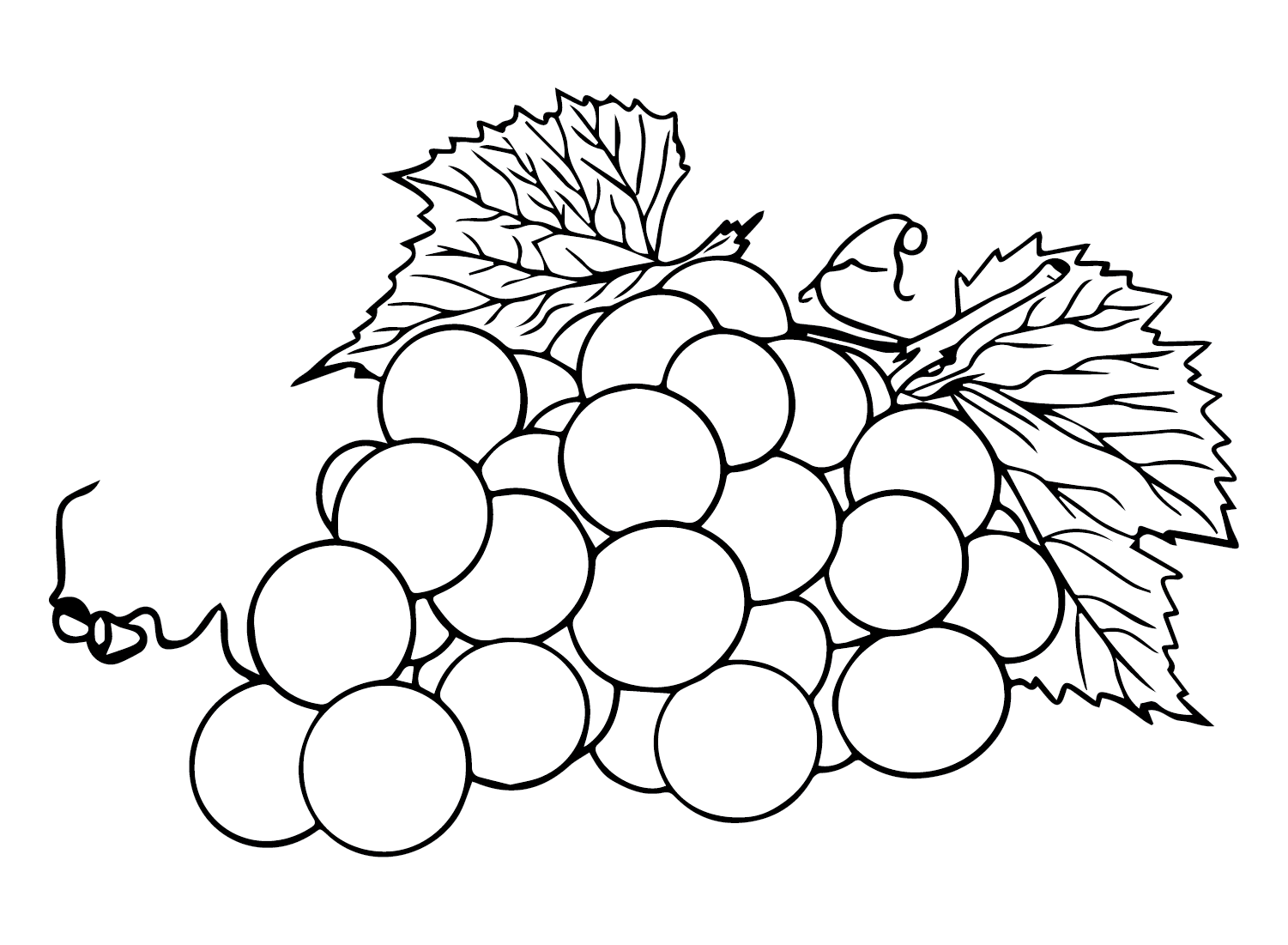 Bunch of Grapes Coloring Page