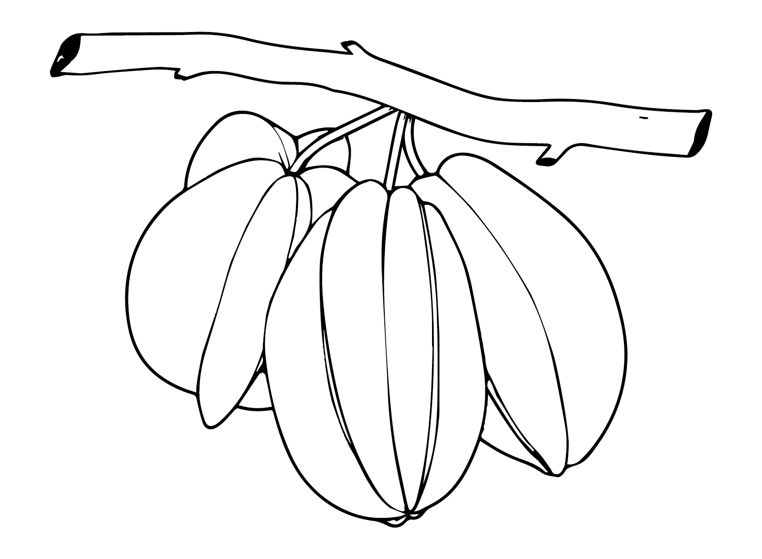 Bunch of Star Fruit 3 Coloring Page